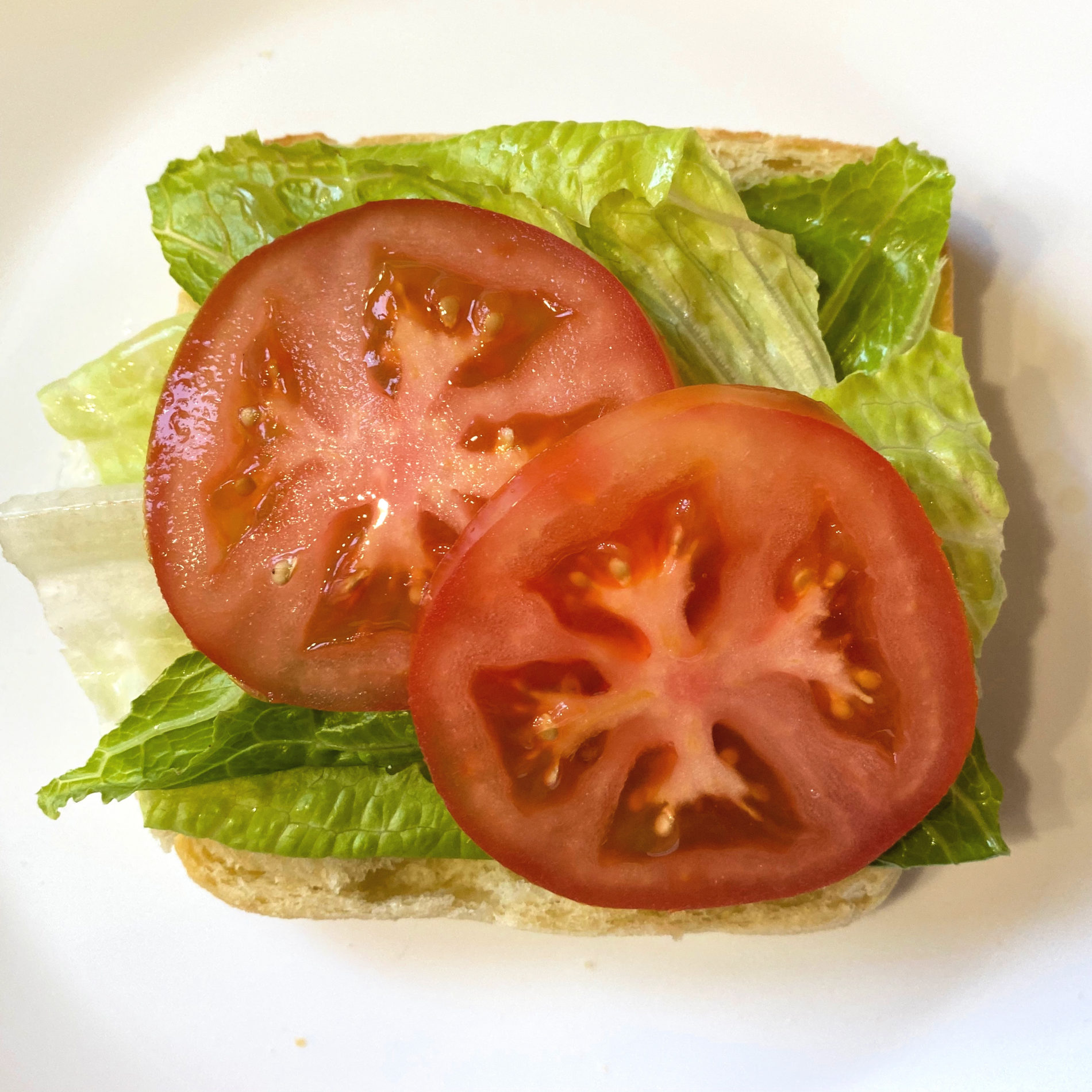Tofu Sandwiches - The Busy Vegetarian