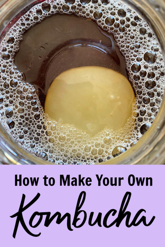 How to Make Your Own Kombucha The Busy Vegetarian