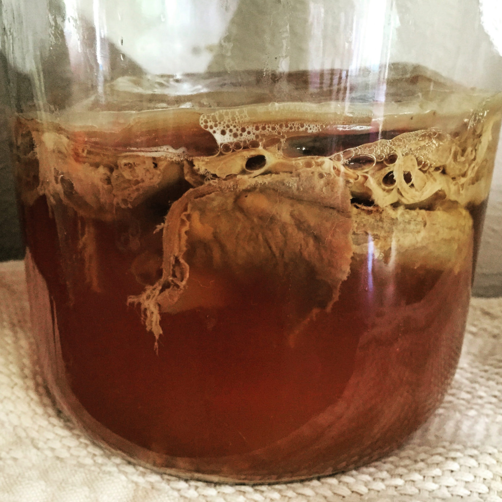 How to Make Your Own Kombucha The Busy Vegetarian
