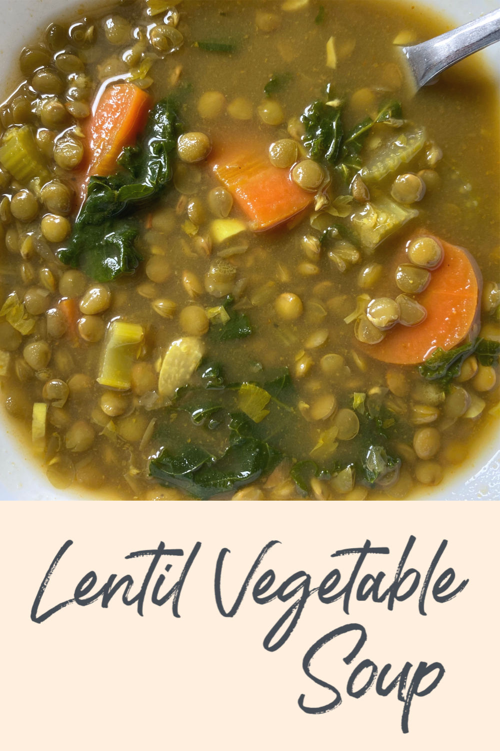Lentil & Vegetable Soup - The Busy Vegetarian