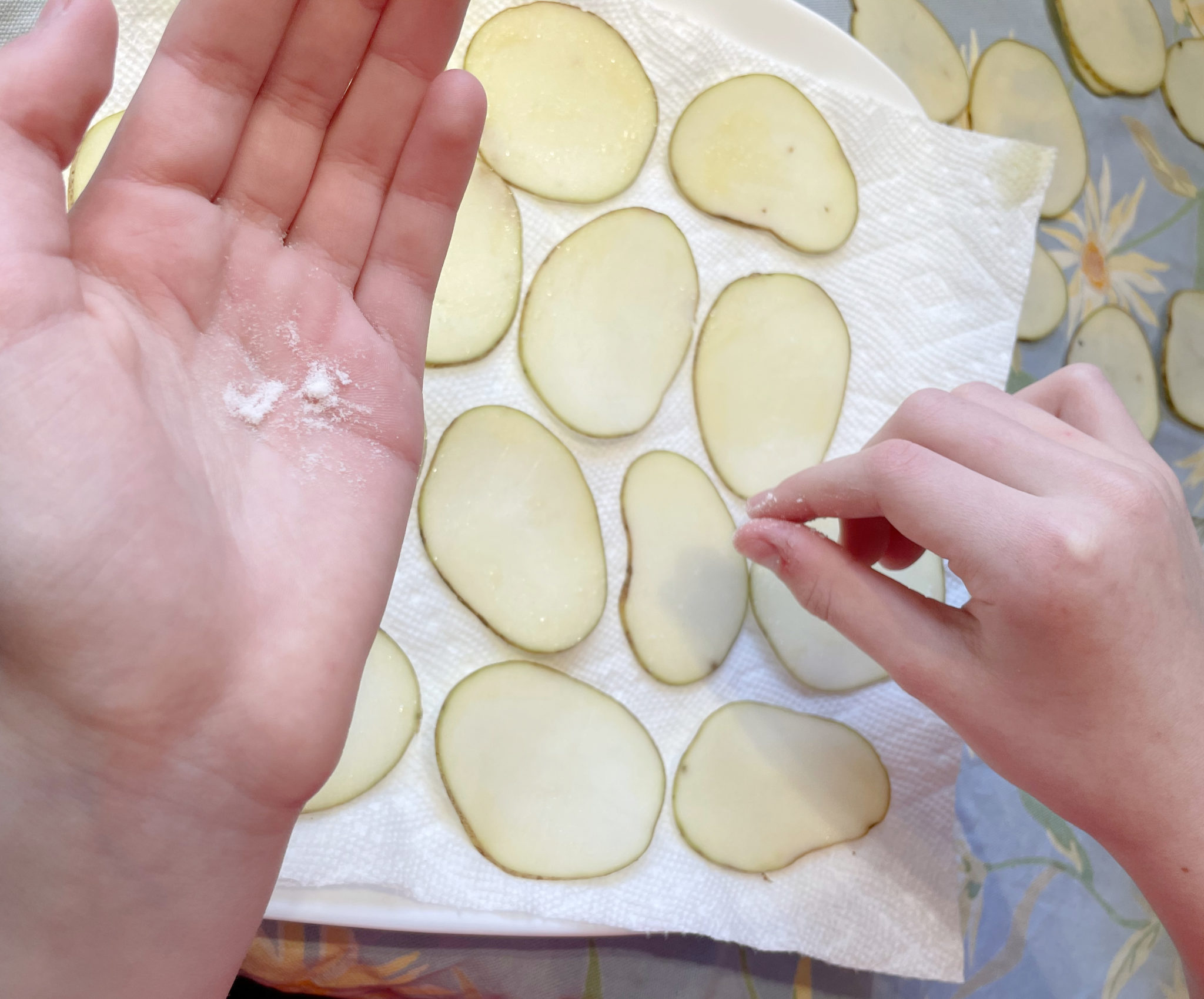 Homemade Microwave Potato Chips - The Busy Vegetarian