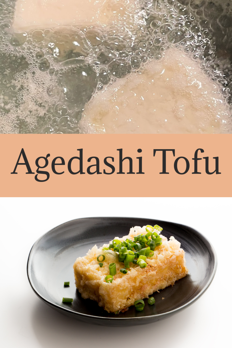 Agedashi Tofu The Busy Vegetarian
