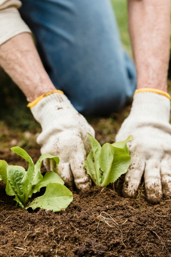 Ways To Use Old Coffee Grounds