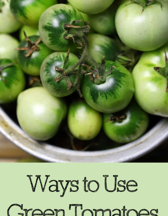 Ways to Use Green Tomatoes