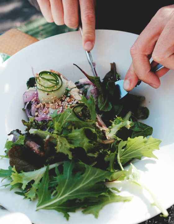 The Connection Between Vegetarian Living and Mental Wellness