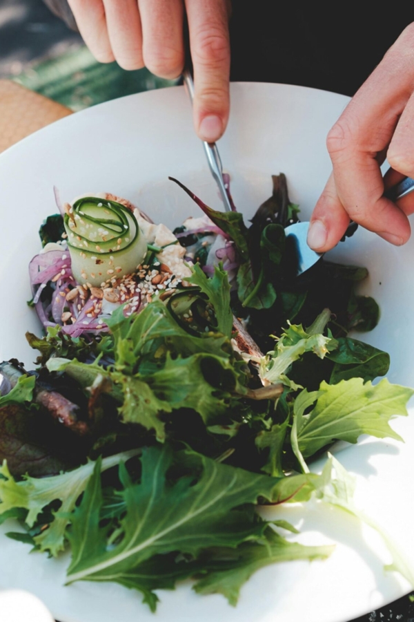 The Connection Between Vegetarian Living and Mental Wellness