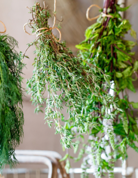 How To Grow Your Own Fresh Herbs For Making Tea