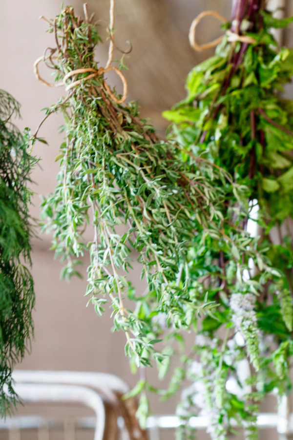 How To Grow Your Own Fresh Herbs For Making Tea