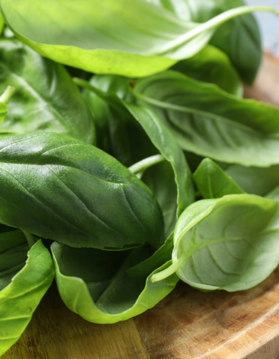 Basil & Corn Salad With Parmesan