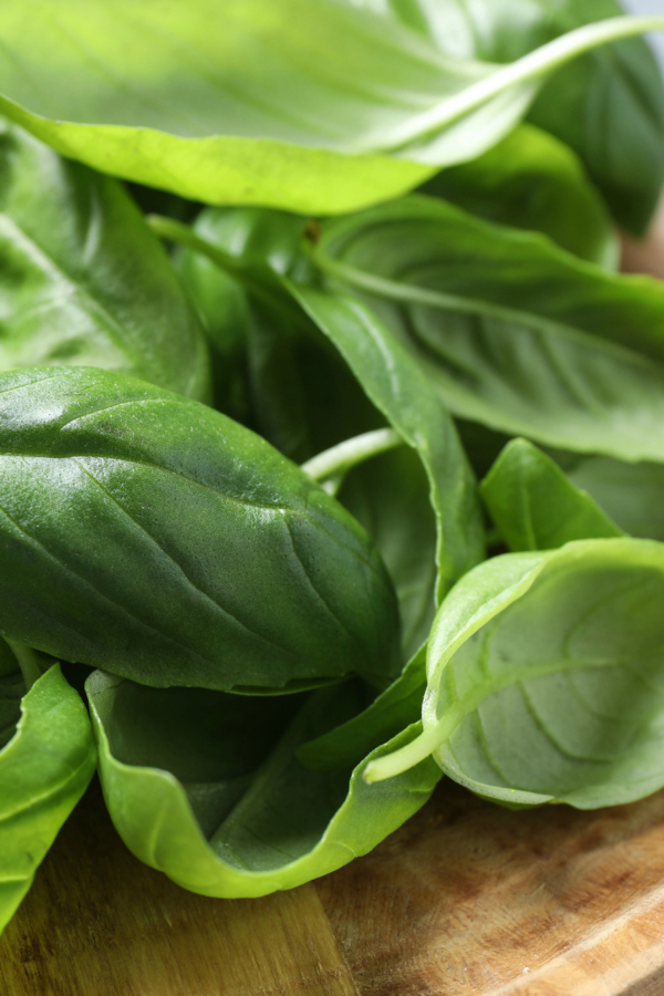 Basil & Corn Salad With Parmesan