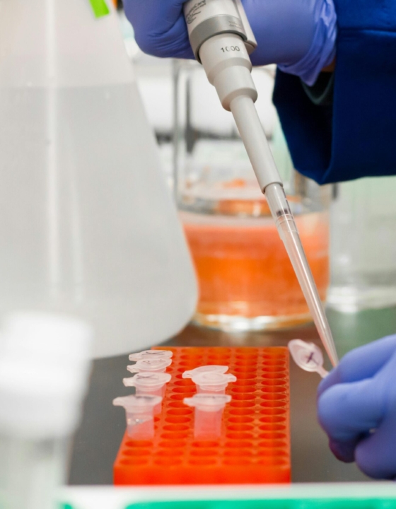 Beyond Game of Thrones – The Scientific Reality of Colossal Biosciences’ Dire Wolf Project