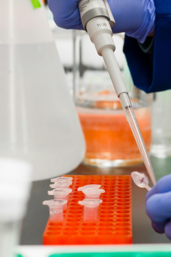 Beyond Game of Thrones – The Scientific Reality of Colossal Biosciences’ Dire Wolf Project