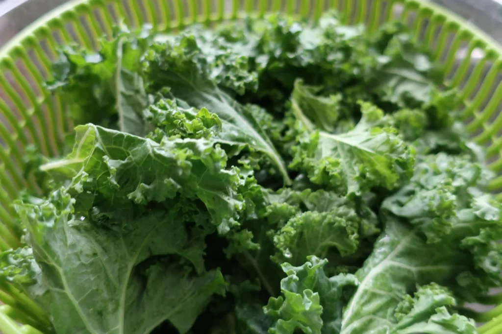 Kale in a colander being washed.